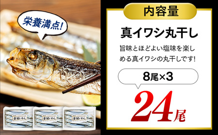いわし 丸干し 24尾 (8尾×3パック) 干物 冷凍 小分け いわしいわし魚魚魚鰯金鯱イワシいわし