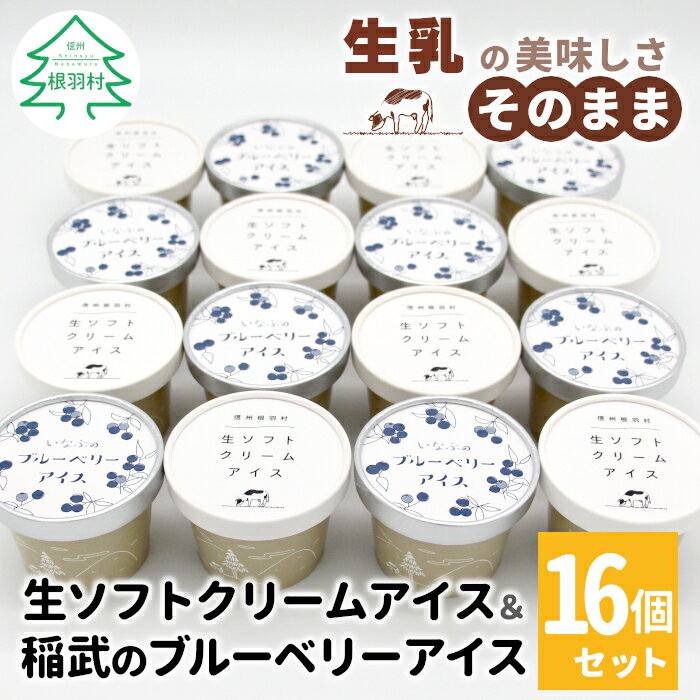 【ふるさと納税】生ソフトクリーム＆いなぶブルーベリー 16個入り 80ml 生乳 ブルーベリー ソース ソフトクリーム アイスクリーム アイス デザート 人気 ギフト 10000円 1万円