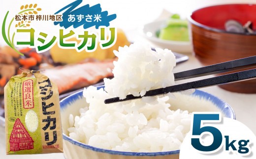 「あずさ米」コシヒカリ5kg│信州 長野県 松本市 コシヒカリ 5kg 米 こめ コメ 白米 精米 お取り寄せ 贈答 ごはん 贈り物 風味