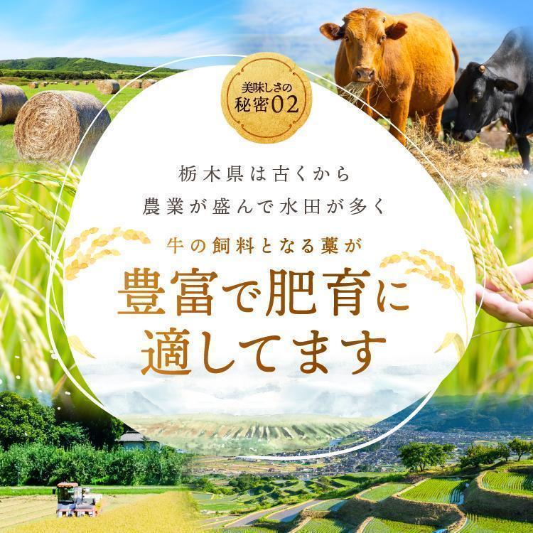 [定期便3回]宮福笑牛(とちぎ和牛) A5 サーロインステーキ 200g×4枚｜数量限定 黒毛 和牛 お肉 栃木県共通返礼品 栃木県産 800g | 定期便3回