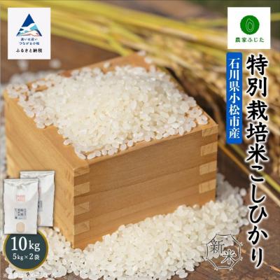 ふるさと納税 小松市 コシヒカリ 10kg 特別栽培米 令和7年産こしひかり 精米 【農家ふじた】