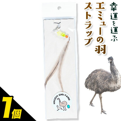 【ふるさと納税】エミューストラップ 全長約20cm ストラップ付き 熊本県菊池エミュー観光牧場株式会社 《30日以内に出荷予定(土日祝除く)》 熊本県 菊池市 エミュー ストラップ 縁結び 幸運の羽 羽根 菊池市 熊本県 送料無料
