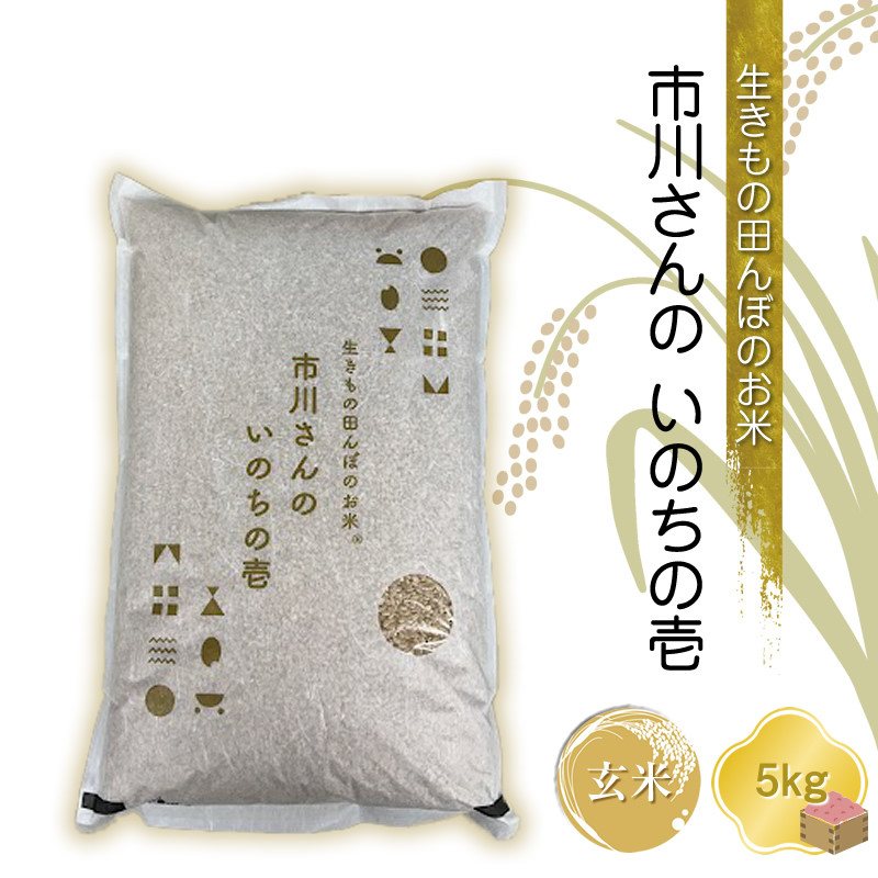 
            【令和6年産】生きもの田んぼのお米 市川さんのいのちの壱【玄米5kg】農薬・化学肥料・除草剤不使用 コメ 信州 希少【 米 コメ 備蓄品 備蓄米 長野県 佐久市 株式会社ゆうき 】
          