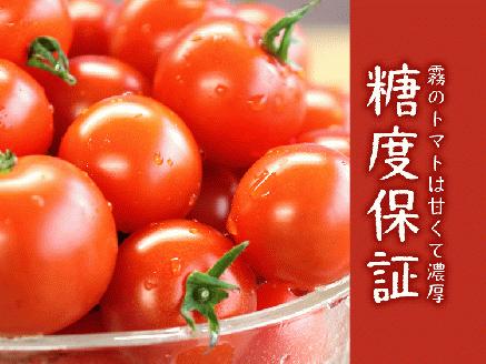 11月末～12月発送予約【霧のトマト】 霧で育てたおいしさ抜群の味！　ミニトマト200ｇ×4パック　06-16