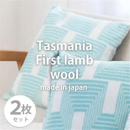 【2枚組】洗えるタスマニアラムウール混クッションカバー 45×45cm GR OTW-4545-2P【1555587】