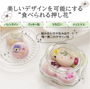 ドライ エディブルフラワー 彩りミックス 20枚　食用花 押し花加工 ケーキ トッピング デコレーション マカロン メレンゲ アイシングクッキー バレンタイン EB-0003