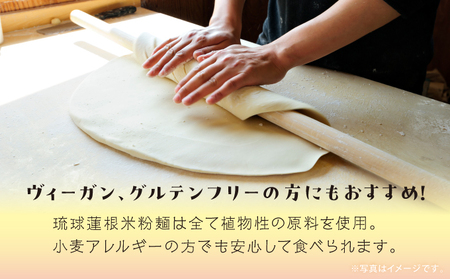 湧水栽培！琉球蓮根の米粉麺 (128g) 平麺 5個セット 国産 [ 小麦不使用 グルテンフリー 無添加 化学調味料不使用 ベジタリアン ヴィーガン ] | NATURAL TONE | めん 生麺 