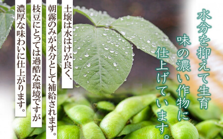 【令和6年産先行予約】 山形県鶴岡産 だだちゃ豆　約1.5㎏（500g×3袋）　三浦農産