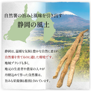 【7日以内発送】【ZIP!で紹介されました!】 とろろ 山の貴婦人 100g × 8個  尾白弁当 とろろ 
