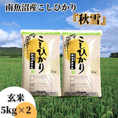 ふるさと納税 南魚沼市 【毎月定期便】南魚沼産こしひかり「秋雪」玄米10kg 新潟県特A地区の美味しいお米 中旬発送 全9回 | 