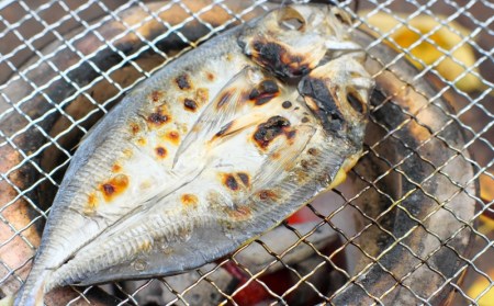 干物 ひもの みりん干し 開き 丸干し 詰め合わせ イカ さんま カマス しらす いわし アジ 冷蔵 海鮮 干物 季節のおすすめ干物セットA（約10枚）  三重県紀宝町産 ※季節によって内容が異なりま