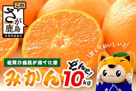 【先行予約】【発送は2026年9月中旬から10月上旬ごろ】佐賀県産みかん”約10kg（箱込み重量）｜【数量限定】混合サイズ｜濃縮旨み ｜ 国産 佐賀県産 ミカン 蜜柑 果物 フルーツ 送料無料  B-