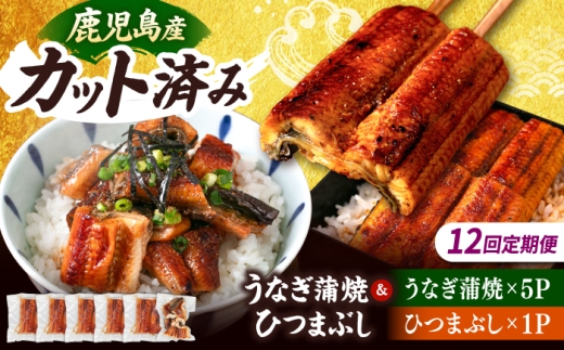 【全12回定期便】 うなぎの蒲焼 約80g×5Pとひつまぶしの贅沢セット ▼ 国産 unagi うなぎ 鰻 ウナギ 蒲焼 うなぎ 蒲焼き 肉厚 うなぎ ウナギ 鰻 冷凍 特大 希少 鰻 うなぎ ウナギ 鰻 人気 ウナギ うなぎ おすすめ ランキング うなぎ おいしい うなぎ かばやき うなぎ 高級 特別 贅沢 うなぎ ウナギ 夏 鰻 九州 福岡 桂川町/山水商事 [ADAH028]
