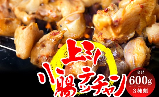 
            厳選国産牛 ボリューム満点 欲張りセット 小腸 / 上ミノ / テッチャン 各200g 600g 附属タレ付き | ミックス ホルモン 食べ比べ もつ鍋 冷蔵 中元 ギフト お祝い
          