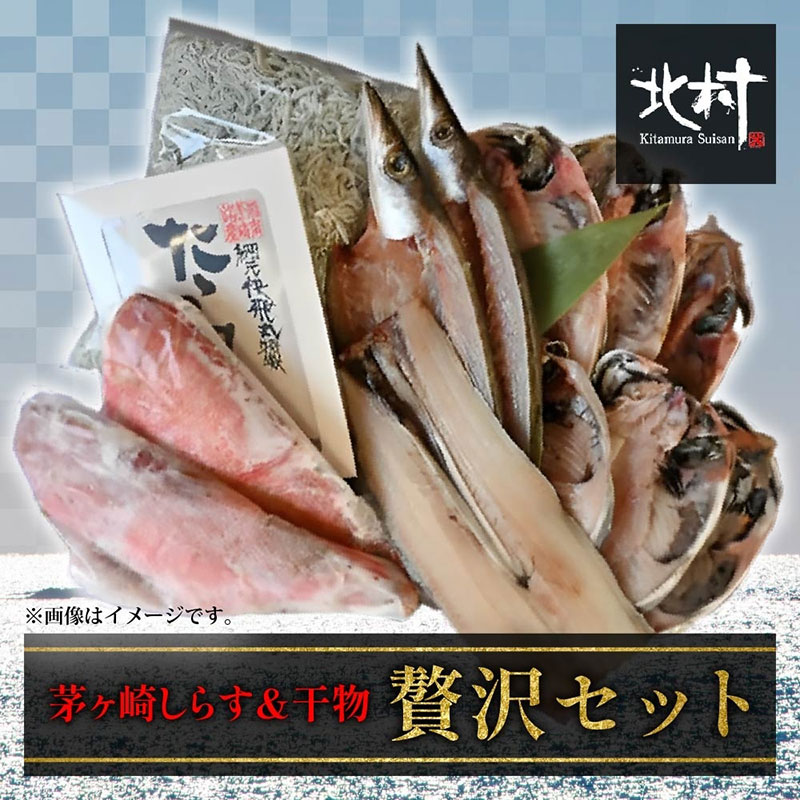 【ふるさと納税】茅ヶ崎しらす・干物贅沢セット 魚貝類 アジ