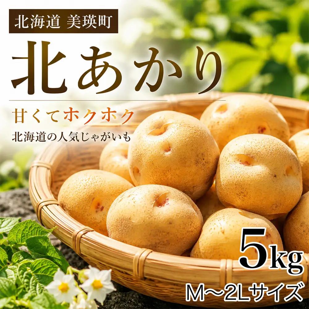 【先行予約】じゃがいも きたあかり 5kg ＜令和8年産＞ おおとり