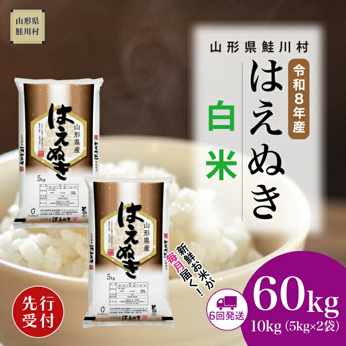 【ふるさと納税】＜令和8年産米先行受付＞ 鮭川村 はえぬき 【白米】60kg （10kg×1ヶ月間隔で6回お届け）＜配送時期選べます＞