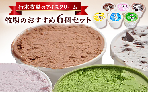 牧場アイス 季節のお勧め大人気6個セット【行木牧場のアイスクリームセット】しぼりたて牛乳で作りました【配送不可地域：離島】
