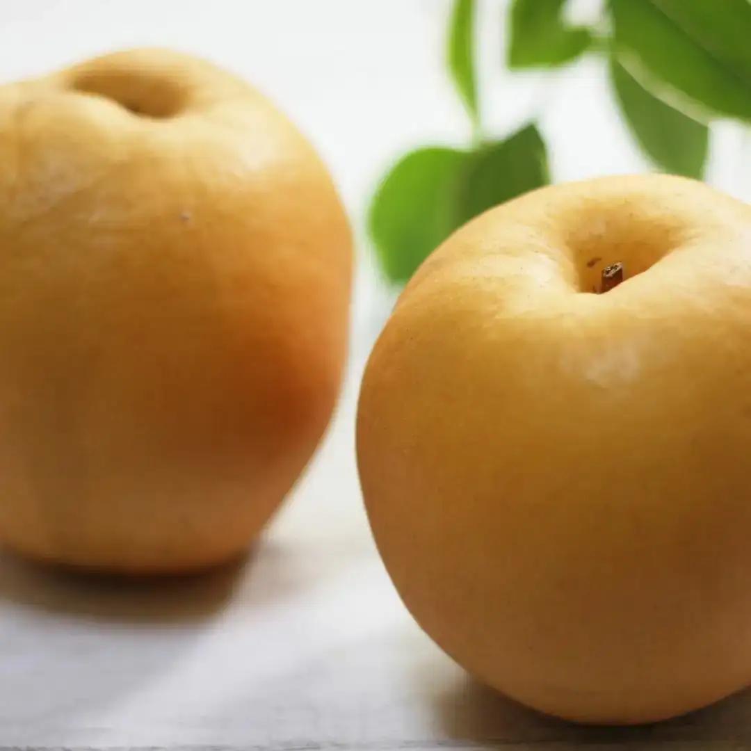 先行予約 和梨 新興 特秀品 約5kg 糖度13度以上を厳選 