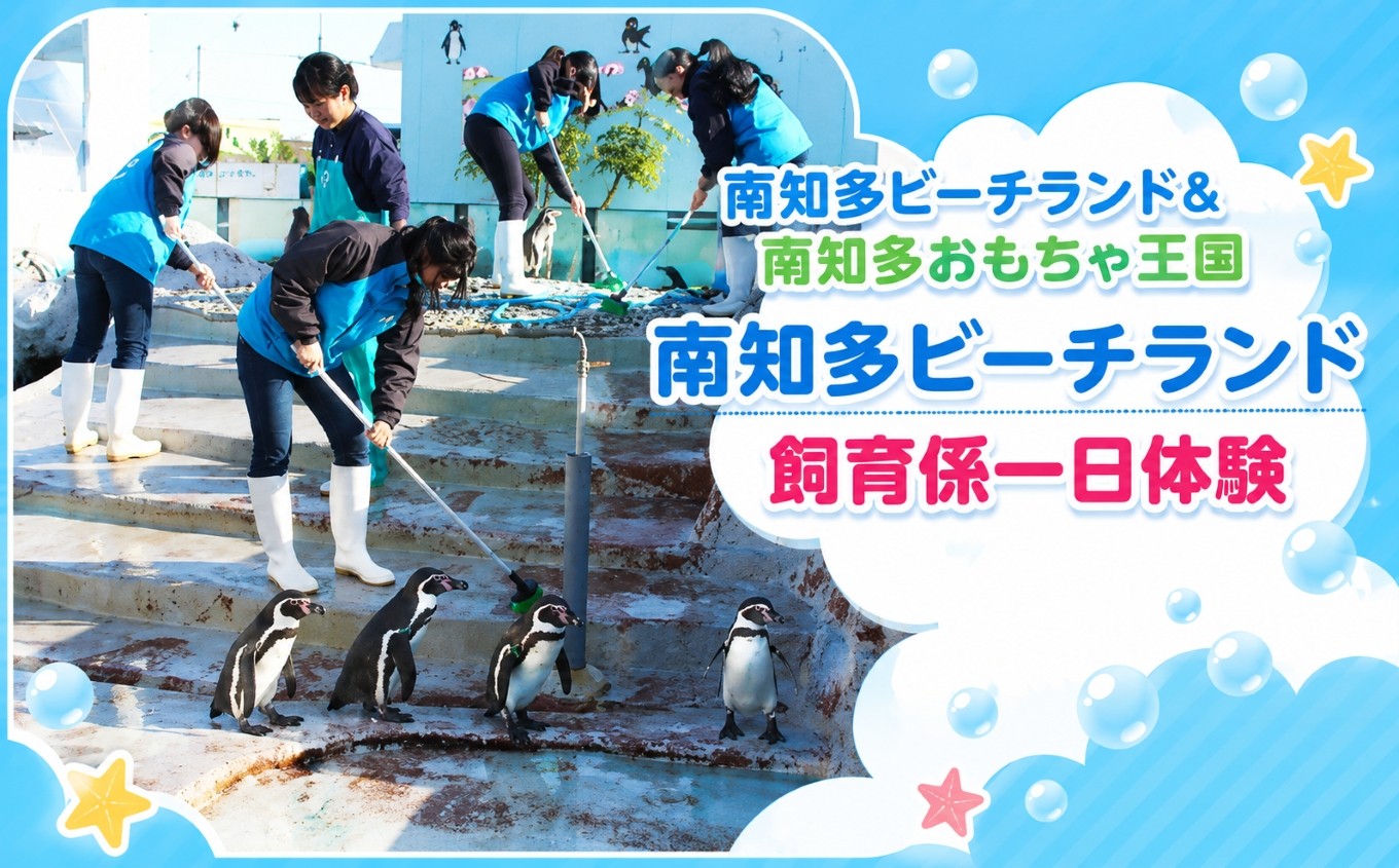 南知多ビーチランド飼育係一日体験