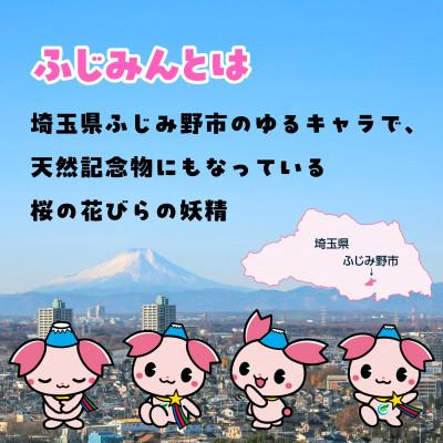 ふるさと納税 ふじみ野市 ふじみんぬいぐるみ(大) |  | 01