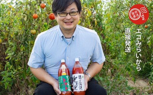濃厚トマトケチャップとトマトピューレのセット　エコみらい