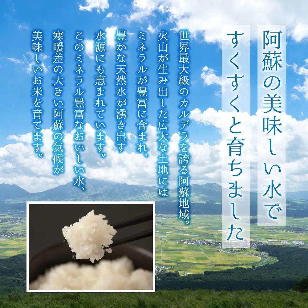 特別栽培米 ひとめぼれ 約30kg×1（玄米）阿蘇アグロスタイル  米 ごはん 人気 美味しい 甘味 もちもち なめらか 減農薬 湧水 熊本県 阿蘇市