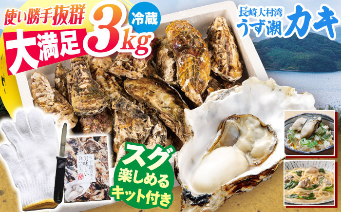 
            カキ 牡蠣 かき 【着日指定】 冷蔵 うず潮カキ  約3kg＜西彼町漁協＞[CBZ001]  牡蠣 カキ 殻つき かき 冷蔵 西海 長崎 贈答 ギフト 日時指定可 牡蠣 カキ ナイフ付き
          
