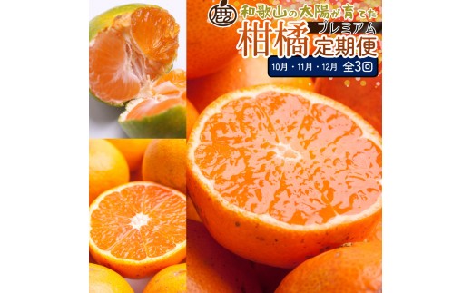 厳選 柑橘定期便M（10～12月）全3回 ［IKE298］