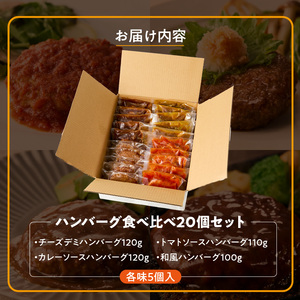 ハンバーグ食べ比べ20個セット_4種 20個 チーズデミ 和風 トマトソース カレーソース ハンバーグ 各5個 冷凍 温めるだけ 湯煎 レンジ 電子レンジ バラエティ 個包装 小分け 食べ比べ お弁当