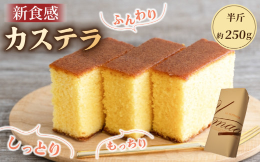 カステラ 半斤 250g ( かすていら かすてら 和菓子 焼菓子 茶菓子 菓子 スイーツ 和スイーツ デザート おやつ プレゼント ギフト 贈答 冷蔵 お取り寄せ 京都 精華町 4000円 四千円 )