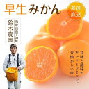 【ふるさと納税】【選べる出荷月！11月後半・12月前半or後半】早生みかん【訳あり】5kg混合サイズ【和歌山の早生みかん】〈昔ながらのみかん〉鈴木みかん農園より農園直送で順次発送予定※北海道・沖縄・離島への配送不可 | 防腐剤不使用 ワックス不使用 蜜柑 フルーツ 果物