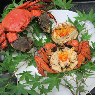 ふるさと納税 津和野町 【天然】清流・高津川で獲れる天然モクズガニ[CAS冷凍]8匹 |  | 01