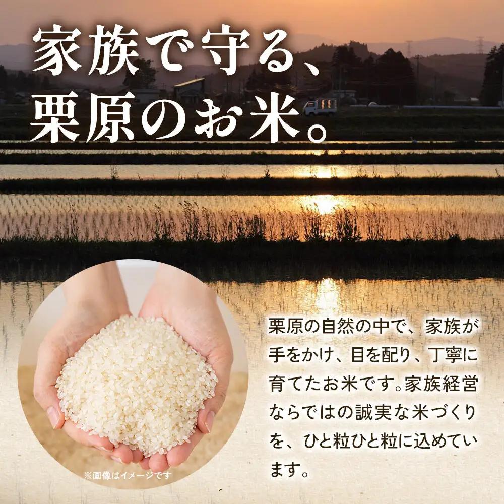 米 10kg 白米 令和7年産 栗原市産 だて正夢