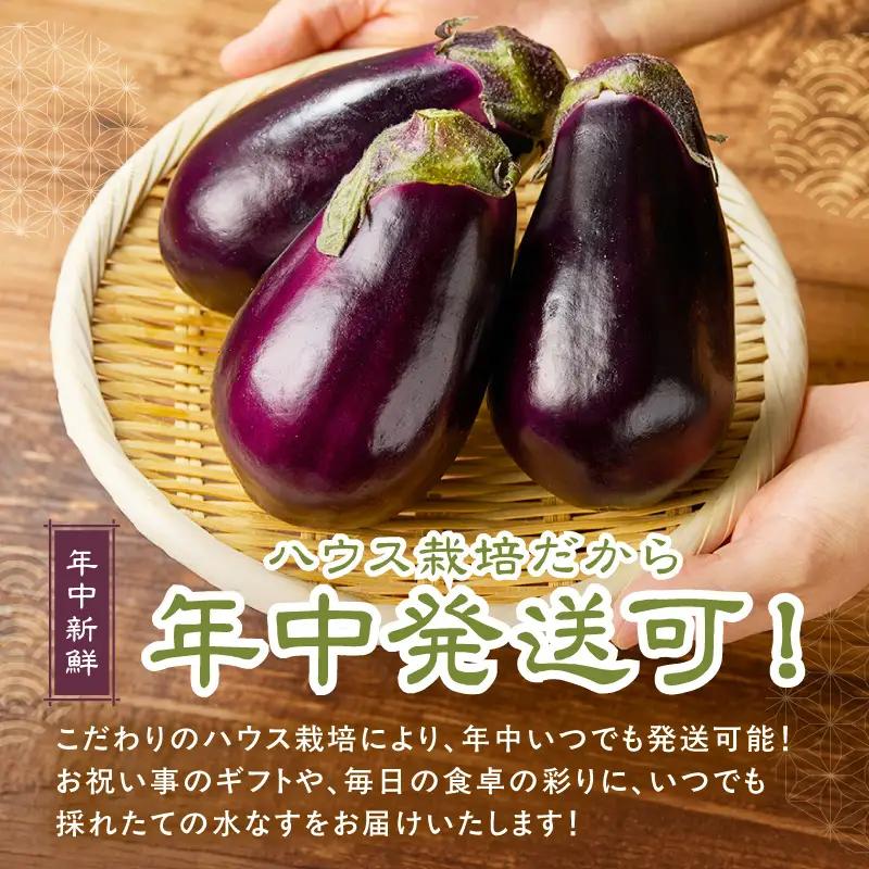 まるやま農園 贈答用 泉州A級生水なす 6個入【ふるさと納税3.0】【087D-124】