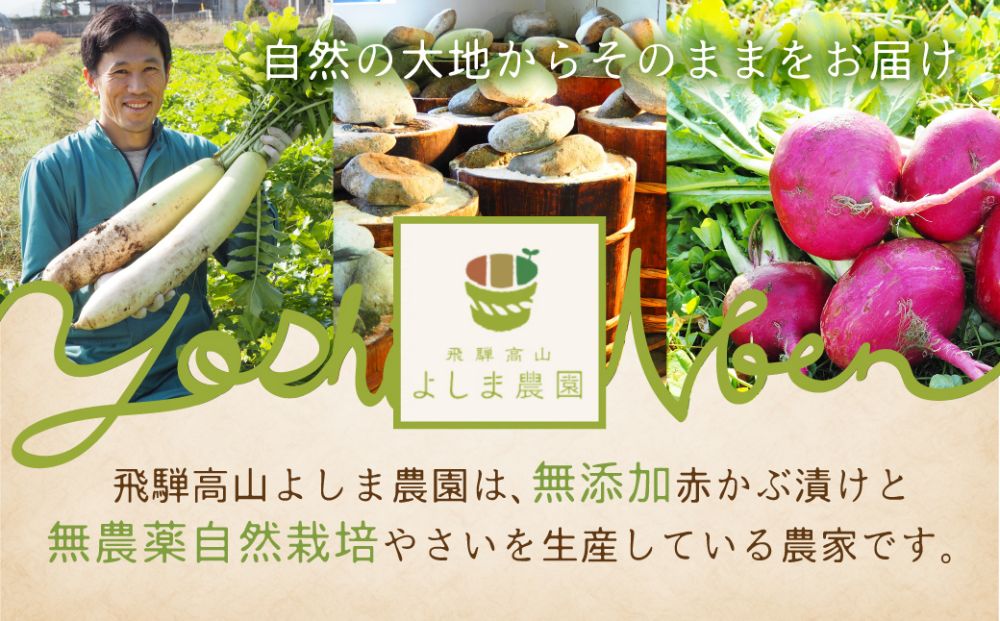 菊芋味噌漬 5袋 菊芋 加工品 味噌漬け お惣菜 飛騨高山 よしま農園 TR4039