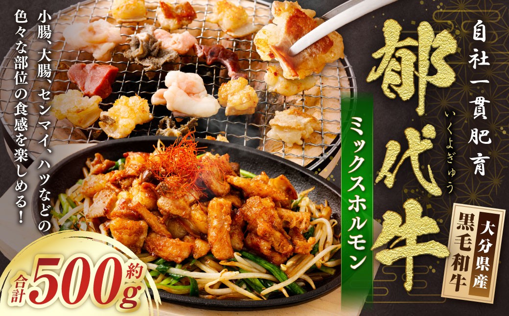 
            自社一貫肥育・郁代牛ミックスホルモン（大分県産黒毛和牛） 約500g ミックスホルモン 牛ホルモン 肉 お肉 ホルモン 
          