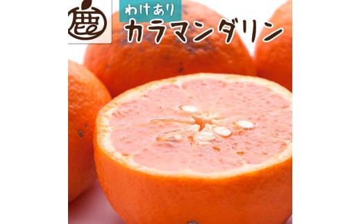 ＜4月より発送＞家庭用 カラマンダリン4kg+120g（傷み補償分）◇【南津海・なつみ】【希少な春柑橘】【わけあり・訳あり】【みかんと同じように食べられます】　※北海道・沖縄・離島への配送不可　※2025年4月上旬～5月下旬頃に順次発送予定