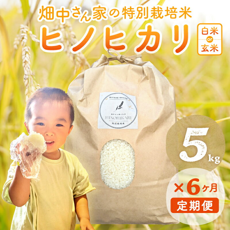 【ふるさと納税】R7年産予約受付【6ヶ月定期便】 特別栽培米（減農薬米） ｢ひのひかり｣ 白米 玄米 可 5kg ～10kg 奈良県 三宅町 ヒノヒカリ おいしい 冷めても もちもち 安心