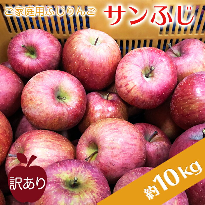 【ふるさと納税】【2025年11月～12月発送】高評価★4.34 訳あり サンふじ 10kg りんご リンゴ 10000円台 規格外 傷 不揃い サンフジ 人気 ランキング 約10kg H085(R7)