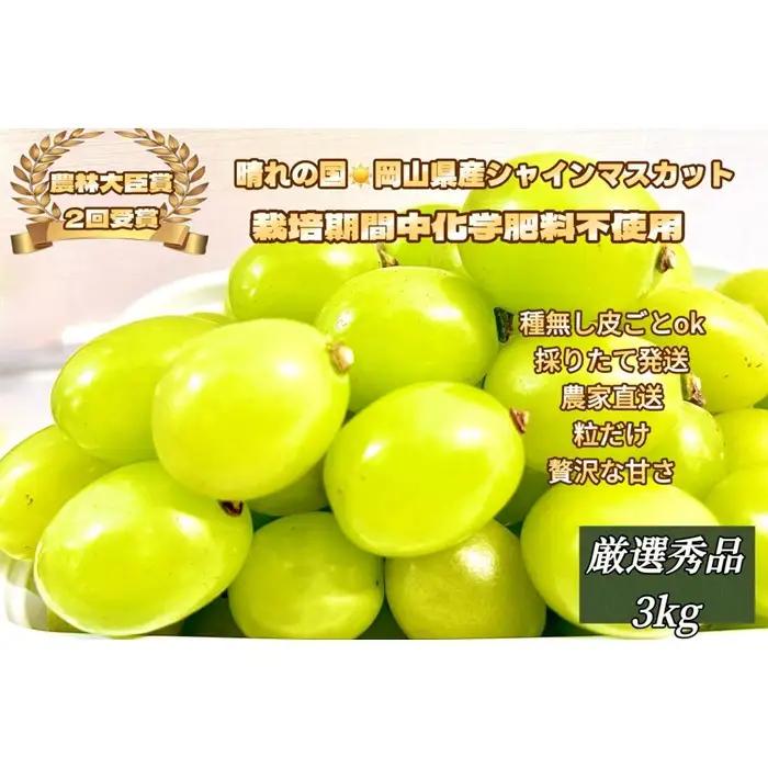ぶどう 2026年  シャインマスカット 厳選 秀品 粒だけ 約3kg  家庭用 農林大臣賞2回受賞  岡山 果物 フルーツ  採りたて発送 農家直送 数量限定 新鮮 7月上旬から発送