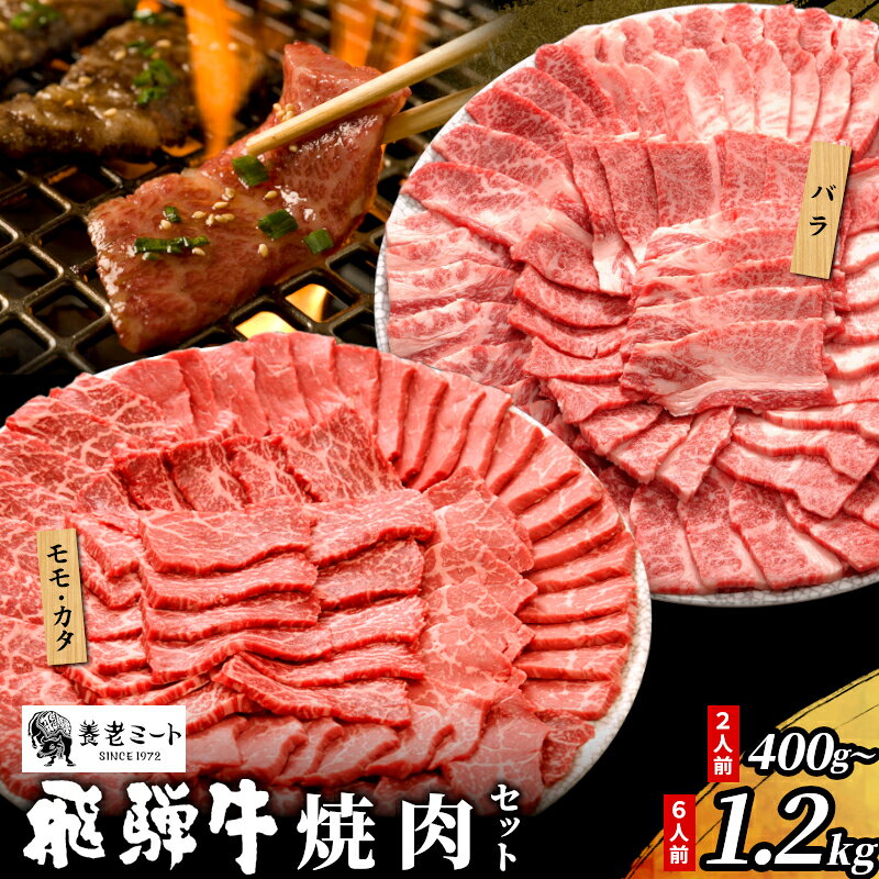 【ふるさと納税】BBQ 贅沢！ 飛騨牛 焼肉セット 2～6人前 400g～1.2kg 牛肉 和牛 肉 焼肉 BBQ キャプ バーベキュー 霜降り カルビ 赤身 モモ カタ 東白川村 岐阜 養老ミート
