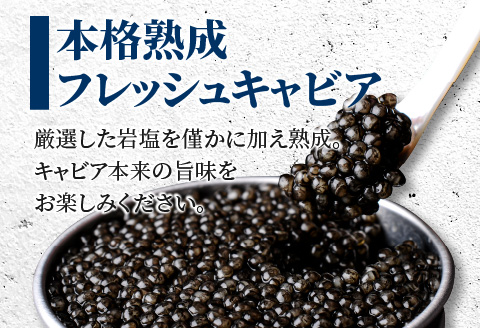 【訳あり】宮崎県産キャビア 詰め合わせ 合計100g