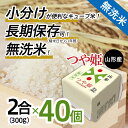 【ふるさと納税】高評価★5 山形産 無洗米 キューブ 米 つや姫　300g×40個 小分け FZ18-458 真空 真空パック 送料無料 小分け 長期保存 便利 つや姫 1年 80合 パック 山形 お取り寄せ ブランド米 備蓄 備蓄米