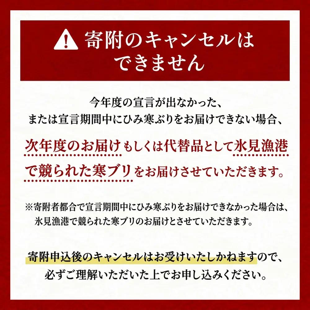  【先行予約】ひみ寒ぶり 8～10kg台物 半身【角安商店】※配送エリア限定※　