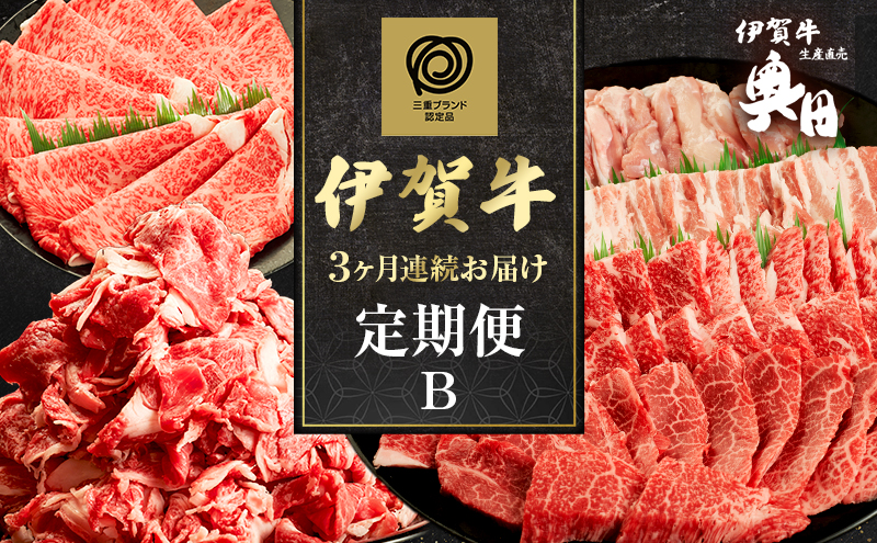 伊賀牛 定期便 3ヶ月 霜降り 三重県 名張市 オクダ 和牛 国産牛 お取り寄せ ギフト 贈り物 高級 産直 毎月 切り落とし 焼肉 黒毛和牛 グルメ 食通 肉好き 毎月届く 贅沢 A5 A4 産地直送