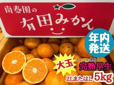 年内発送 ちょっと 傷あり 完熟早生 有田みかん 大玉 2L または L サイズ 5kg 和歌山 南泰園 みかん
