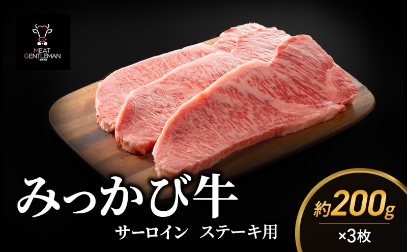 
            みっかび牛サーロインステーキ用（約200g×3枚）国産 静岡県産 ステーキ サーロイン 三ヶ日牛 牛肉 お肉 静岡 浜松市 [№5360-1057]
          