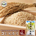 【ふるさと納税】那賀町相生産 コシヒカリ 玄米 10kg【徳島 那賀 国産 徳島県産 こめ おこめ 米 お米 ごはん ご飯 げんまい 玄米 こしひかり コシヒカリ 10kg 和食 おにぎり お弁当 食べて応援 ギフト プレゼント 母の日 父の日】YS-4-4