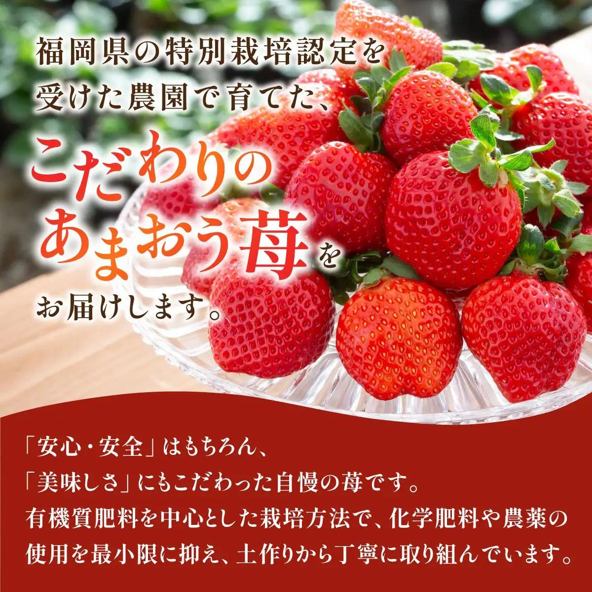 いちご 福岡県産 特別栽培 あまおう サイズいろいろMIX 約1425g（約285g×5パック）【12月発送】